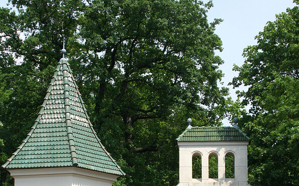 Gutspark Groß Glienicke, Foto: Dieter Dargies, Lizenz: Groß Glienicker Kreis e.V.