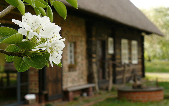 Foto: Christoph Messow, Lizenz: IG Bauernhaus e.V.