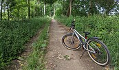Foto: Essi Rätti, Lizenz: Tourismusverband Dahme-Seenland e.V.