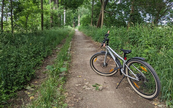Foto: Essi Rätti, Lizenz: Tourismusverband Dahme-Seenland e.V.