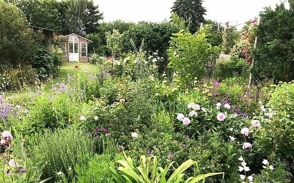 Blumenbeet mit Gewächshaus Heike Munser, Foto: Heike Munser