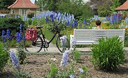 Freundschaftsinsel_Ritterspornsammlung@Freunde der Freundschaftsinsel e.V., Foto: Freunde der Freundschaftsinsel e.V., Lizenz: Freunde der Freundschaftsinsel e.V.