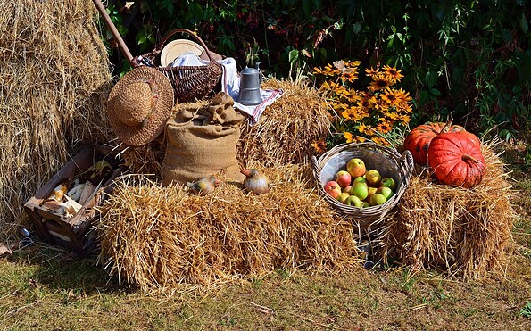 Erntefest, Foto: Pixabay, Lizenz: Pixabay