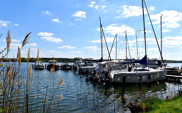 Foto: Daniela Morgenstern, Lizenz: Tourismusverein Scharmützelsee e. V.