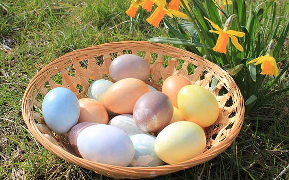Eier in Pastellfarben in Bastkorb neben blühender Osterglocke, Foto: Bansen-Wittig