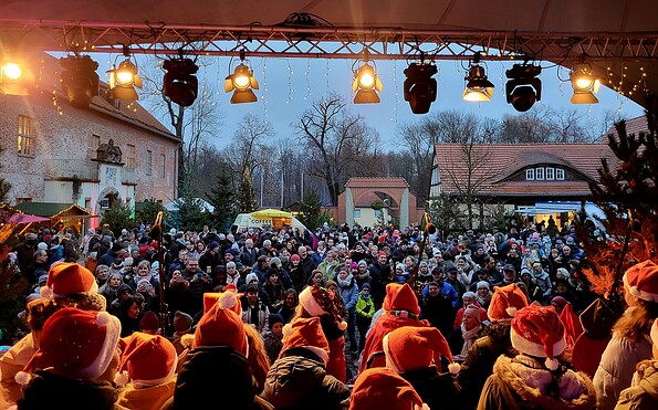 Foto: Steffi Niesar, Lizenz: Steffi Niesar