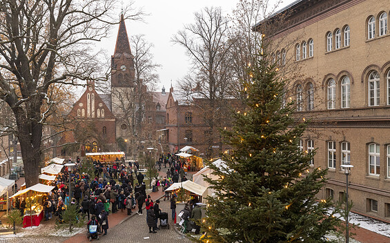 Menschen auf einem Weihnachtsmarkt zwischen Backsteingebäuden, kahlen Bäumen und beleuchteten Tannen; im Hintergrund ein Kirchturm., Foto: André Stiebitz, Lizenz: PMSG