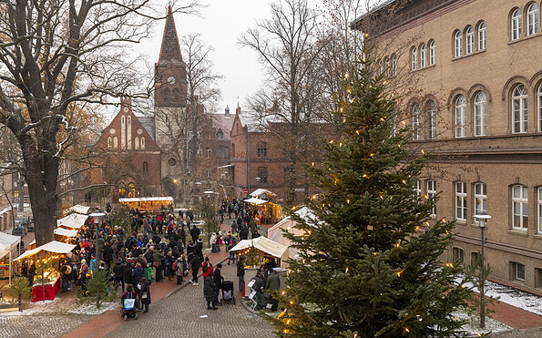 Menschen auf einem Weihnachtsmarkt zwischen Backsteingebäuden, kahlen Bäumen und beleuchteten Tannen; im Hintergrund ein Kirchturm., Foto: André Stiebitz, Lizenz: PMSG