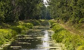 Foto: Anton Lehnig, Lizenz: Naturpark Nuthe-Nieplitz