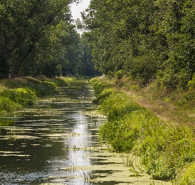 Von Trebbin zum NaturParkZentrum am Wildgehege Glauer Tal und zurück