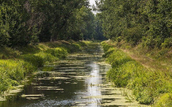 Foto: Anton Lehnig, Lizenz: Naturpark Nuthe-Nieplitz