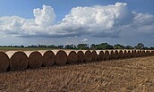 herbstliche Strohballen auf einem Feld, Foto: Kathleen Brandau, Lizenz: Gemeinde