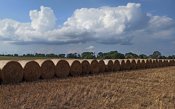 herbstliche Strohballen auf einem Feld, Foto: Kathleen Brandau, Lizenz: Gemeinde