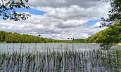 Foto: Pixabay, Lizenz: Pixabay