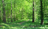 Foto: Olaf Tausch (https://commons.wikimedia.org/wiki/File:Schlosspark_Lanke_01.jpg), Lizenz: Olaf Tausch (https://commons.wikimedia.org/wiki/File:Schlosspark_Lanke_01.jpg)