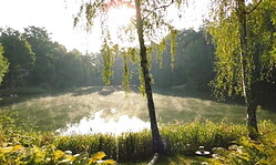Tag des offenen Hofes > Der Kräuter- und Naturhof im September > Ihre Oase der Ruhe und Natürlichkeit