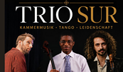 Foto: Trio Sur