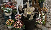 Templiner Ostermarkt