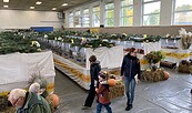 Foto: Carsten Hetze, Lizenz: Carsten Hetze