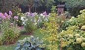Foto: Cordula Lick, Lizenz: Lehmann-Garten