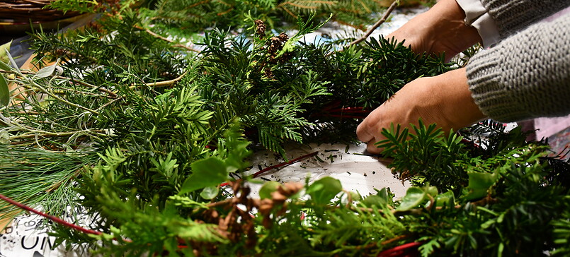 Workshop: Adventskränze selber binden