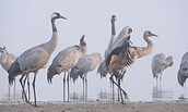Foto: © Stefan Schulz, KR Film GbR