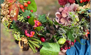 Herbstkranz aus grünen Blättern, roten Beeren, Zapfen, Hopfen und Hortensien, in Händen gehalten., Foto: Nicole Riekeles, Lizenz: Nicole Riekeles
