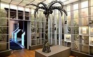 Fontane-Museum Schloss Ribbeck - Glashaus, Foto: Schloss Ribbeck GmbH, Lizenz: Schloss Ribbeck GmbH