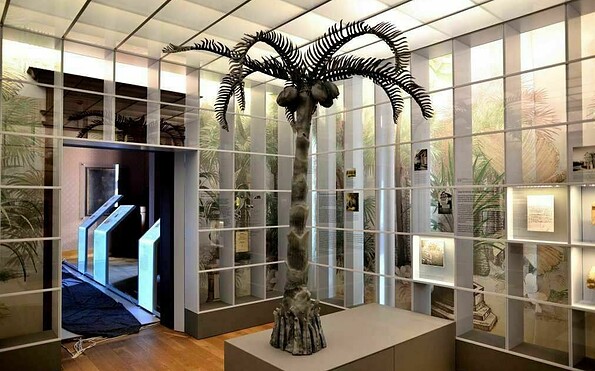 Fontane-Museum Schloss Ribbeck - Glashaus, Foto: Schloss Ribbeck GmbH, Lizenz: Schloss Ribbeck GmbH