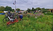 ELFen: Wiesencafé