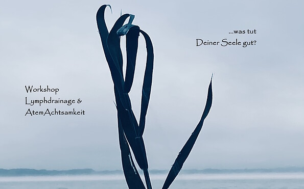Foto: Veranstalter, Lizenz: Veranstalter