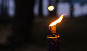 Foto: pixabay, Lizenz: pixabay