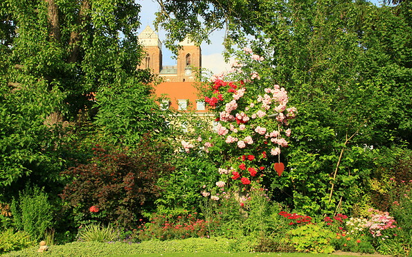 Garten Familie Stritzel, Prenzlau, Foto: Ute Stritzel