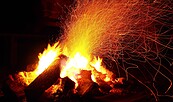 Foto: Pexel, Lizenz: pixabay