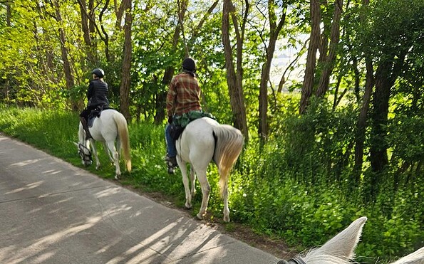 Foto: Tina Bücker, Petra Erlebach, Kerstin Reisch, Lizenz: Wanderreiten im Havelland