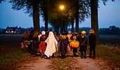 Foto: KI, Lizenz: Reve