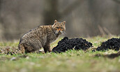 Foto: Wolfgang Lequen, Lizenz: Wolfgang Lequen