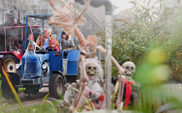 Foto: Karls Markt OHG, Lizenz: Karls Markt OHG