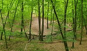 Foto: Lydia Brusendorf