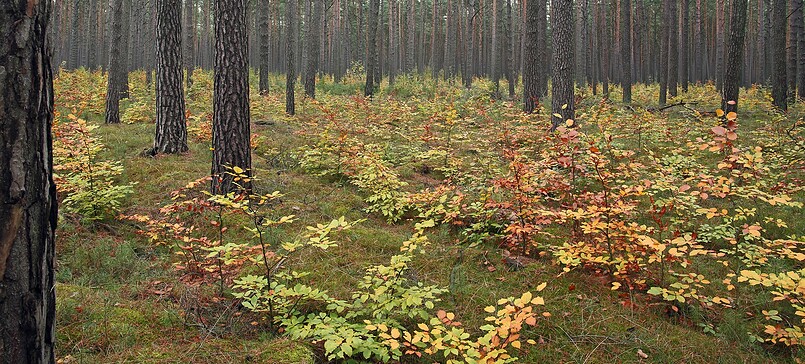 NaturParkGespräch