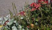 Foto: Gemeinde Wusterhausen/Dosse
