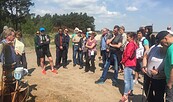 SEEgang am Cottbuser Ostsee, Foto: Förderverein Cottbuser Ostsee, Lizenz: Förderverein Cottbuser Ostsee