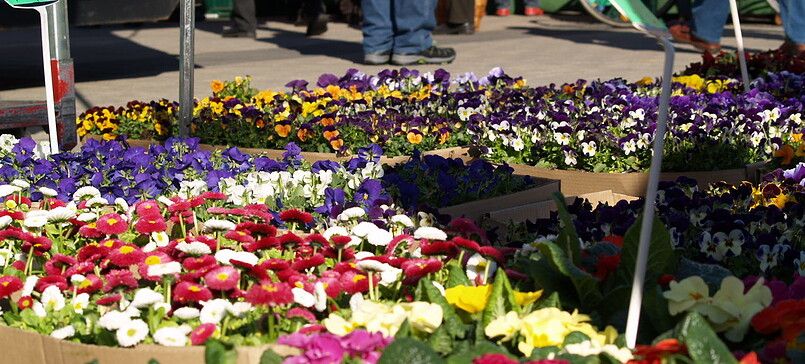 Wochenmarkt auf dem Stadthallenvorplatz (Mi/Fr)