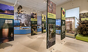 Blick in die Ausstellung „Tierisches Leben im UNESCO-Welterbe“ (© Naturkundemuseum Potsdam/ Foto: D. Marschalsky)