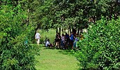 Radgruppe Sommer, Foto: Tibor Rosteck, Lizenz: Amt Burg (Spreewald)