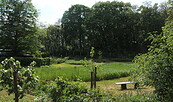 Garten von Bettina Locklair, Foto: Bettina Locklair